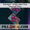 Kamagra 100Mg Oral Jelly Sildenafil 5Gm 14